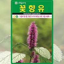 꽃향유 씨앗 3000립 아로마치료 가을의 향기를 느끼게 해주는 가을 야생화 꽃씨앗, 단품
