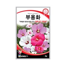 헬프팜 부용화 2g 씨앗 세계종묘 종자, 1개