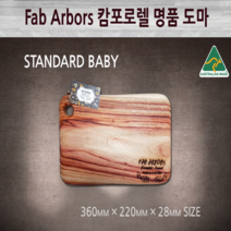 캄포도마 나무 관리 캠핑 이상민 옥동자 옥기템 윤스테이 박서준