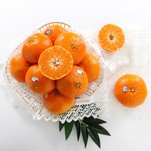 [초록자연] 레드향 3kg(8-10과) 제주 감귤, 상세 참조