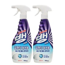 이지오프뱅 곰팡이&살균 470ml, 2개