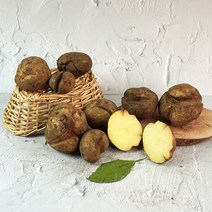 [미식한가] 못생겨도 맛있는 제주 구좌 파지 못난이 감자 (특-왕특품), 못난이 파지 감자 5kg (특-왕특품)