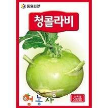그린 콜라비씨앗 500립, 1개