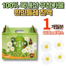 100% 국내산 토종 흰꽃 민들레 하얀민들레 흰민들레 진액 즙 원액 효소 엑기스 액기스 차 민들래 포공영 무첨가물, 1박스