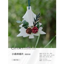 왁스타블렛 간단한선물 천연 고체 방향제 서쪽 이끼 숲 꽃 언어 옷장 아로마 테라피 왁스, Star Blank (Single) - 치자