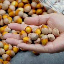 [KT알파쇼핑]깐은행 500g(특)