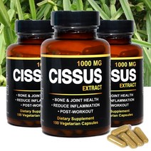 더그린 미국직구 시서스 고 함량 캡슐 1 000 mg CISSUS, 100캡슐, 3병