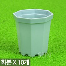 미니 플라스틱 화분 블랙 X 10개 - 플분 다육 선인장 어린이집 유치원 플라스틱 어린이 식목일 행사 식물 모종 삽목 인테리어 홈 가드닝 다육이화분