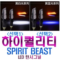 데일리쇼핑 오토바이 스피릿비스트 LED 양면 윙카 2웨이 데이라이트 깜빡이 램프, SBT양면오렌지/블루, 1개