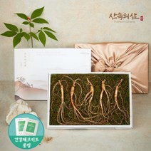 6~10년근 국내산 산양삼 산삼 산양산삼 장뇌삼 장뇌산삼, 10년근 프리미엄 5뿌리 (1상자)