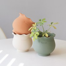 마이플랜트 프릴 둥근팟, 그린