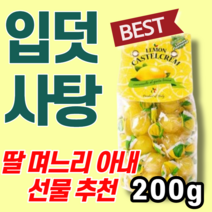 대용량 입덧 사탕 캔디 딸 며느리 며늘아기 아내 누나 손녀 임신 축하 선물 속이 울렁울렁 니글니글 헛구역질 구토 공복 먹덧 입덫 침덧 토덧 관리 래몬 레몬 상큼 음식 간식 와이프, 1개, 200g