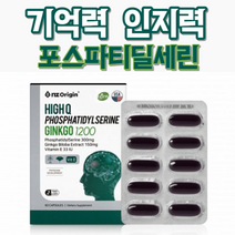 엔젯오리진 하이큐 포스파티딜세힌 징코 1200 60캡슐 기억력 인지력 개선 뇌 영양제 항산화 건강 비타민E, 1박스(1개월)
