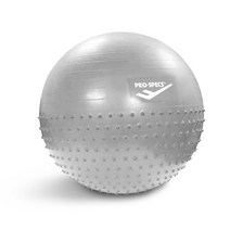 프로스펙스 안티버스트 멀티짐볼, 실버