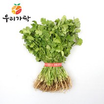 [우리가락]고수 한단, 단품