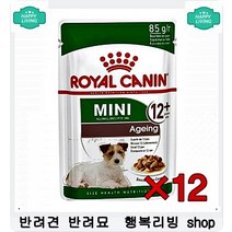 신경 예민한 강아지 부드럽게 소화되는 간식 반려견사료 4개월강아지사료 사료추천