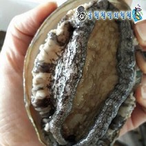 꽃게 신진도 활꽃게 2~3인분 당일조업 아침발송, 1개, 1kg(12미)