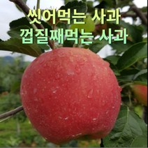 씻어나온사과 저탄소 껍질째먹는사과 2/3/5kg 황금 제철 사과, 꼬마세척사과 3kg/16-21입내외