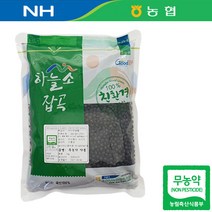전남 영암 22년산 국산 무농약 약콩 쥐눈이콩 서목태 1kg, 1개