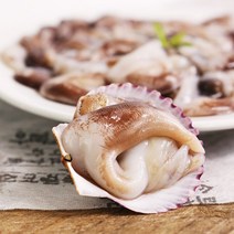 [산지직송] 여수 자연산 손질 새조개 2.5kg/5kg(손질후 500g/1kg 내외), 2.5kg(손질후 500g내외)