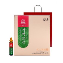 기력보감 고려홍삼중앙회 20g 16병 쇼핑백 포함, 1박스