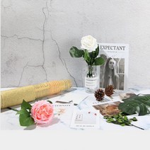 대형 사진촬영 배경지 양면 음식 제품 상품 셀프촬영, A타입 블루우드