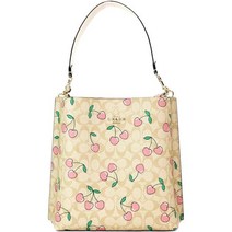 Coach 코치 몰리 버킷백 가방 429439