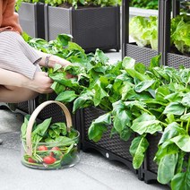 아르세 조립식 베란다 미니 텃밭 화분 정원 플랜트박스, 아르세 화분 플랜트박스 2칸