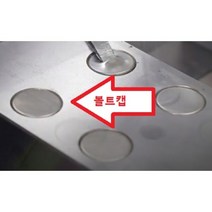파워바이스 볼트캡 (10 EA) PCV-160(M25) (PV13052) P, 1개