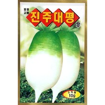 진주 대평무 10g /무료배송/무씨앗/주말농장/채소야채