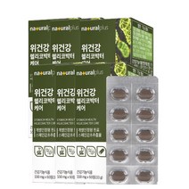 위 건강 헬리코박터균 소화 효소 스페인 감초 추출물 정, 5+1