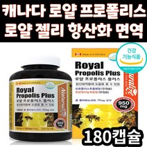 로얄 프로폴리스 플러스 로얄 젤리 플라보노이드 캡슐 항산화 환절기 면역 캐나다 건강 기능 식품 플로폴리스 폴리폴리스 프로폴리 부모님 아버지 어머니 아빠 엄마 어르신 노인 선물 추천