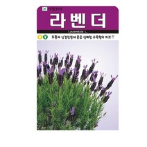 SN월드 새싹 씨앗, 허브-라벤더