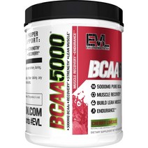 EVLUTIONNUTRITION BCAA 5000 체리 라임에이드 맛, 747g, 1개