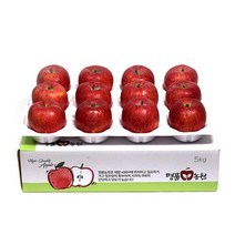 [명품농원] 당도선별 문경 사과 5kg 특대과 선물세트, 1박스, B. 가정용 특대과 5kg(11~13과)-흠과