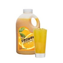 흥국 오렌지 농축액 1.5L /농축액 모음, 흥국 블루베리 베이스 1kg 1개