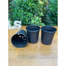 이색포트 12cm 롱 검정) 비닐포트 학습용 모종화분 미니화분 재배분 컵포트 12구연결트레이, 1개