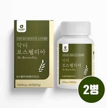 관절 연골 보스웰리아 가루 분말 정 알약형 캡슐 식약처 수입필 인증 인도산 고함량 보스웰릭산 원물 65% 이상 akba kba 초록입홍합 우슬 버드나무 추출물 아연 마그네슘 효능, Brainbee 2Gift