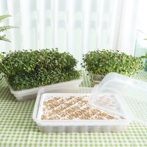 세경팜 수경새싹재배기 보리싹 밀 브로콜리 키우기 새싹채소키우기 씨앗, 04.모던새싹재배기2단, 1개