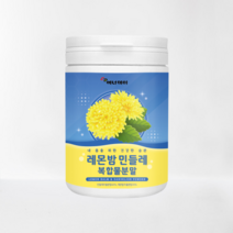 에너데이 레몬밤 민들레 추출 복합물 분말 100g, 1개