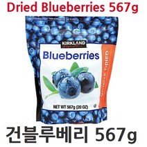 ♥GO질라mall♥co커클랜드 건블루베리 567g 건과일 말린과일 수입말린과일 말린블루베리 블루베리 수입과일 과일♥ＧОÐＺｉĿŁА몰♥, ⁀‿⁀감사합니다, ⁀‿⁀감사합니다