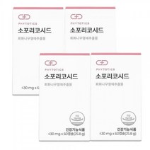 [유통기한23.10.26까지]피토틱스 소포리코시드 4개월분 240캡슐 회화나무열매추출물 여성갱년기영양제 이소플라본