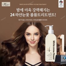 씻어내지않는 극손상 단백질 케어 헤어 H레시피 하얀눈꽃 볼륨 트리트먼트 500ml, 하얀눈꽃 볼륨트리트먼트 500ml 1개