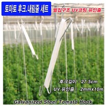 토마토내림줄/파프리카유인줄세트/토마토후크내림줄세트/씨씨론/파스칼, 파랑, 100개