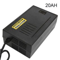 전기차충전기36V 배터리 전원 공급 장치 어댑터 충전기 출력 48V 빠른 입력 220V 리튬 이온 리튬-폴리 자동, 02 20AH