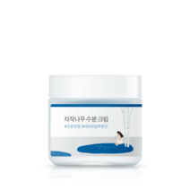 트러블없는 수부지 겨울 건성 수분크림 라운드랩 80ml, 01.자작나무 수분 크림 80ml