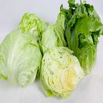 농부가 국내산 양상추 1.5kg / 3kg, 양상추 3kg 6입