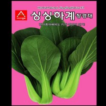 아시아종묘 싱싱하계 청경채 씨앗 채소씨앗 쌈채소씨앗 청경채씨, 2000개