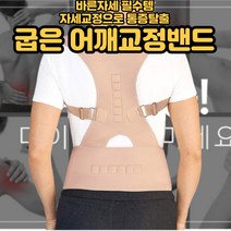 어깨 교정밴드 자세교정 굽은어깨교정기 거북목 라운드숄더교정 굽은등교정기 척추교정기 어깨비대칭 말린어깨 굽은어깨교정 허리스트레칭 밴드 바른자세교정밴드, 블랙 S/M