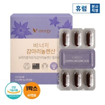 휴럼 비너지 감마리놀렌산 혈행개선 보라지유 1박스, 60캡슐, 1개